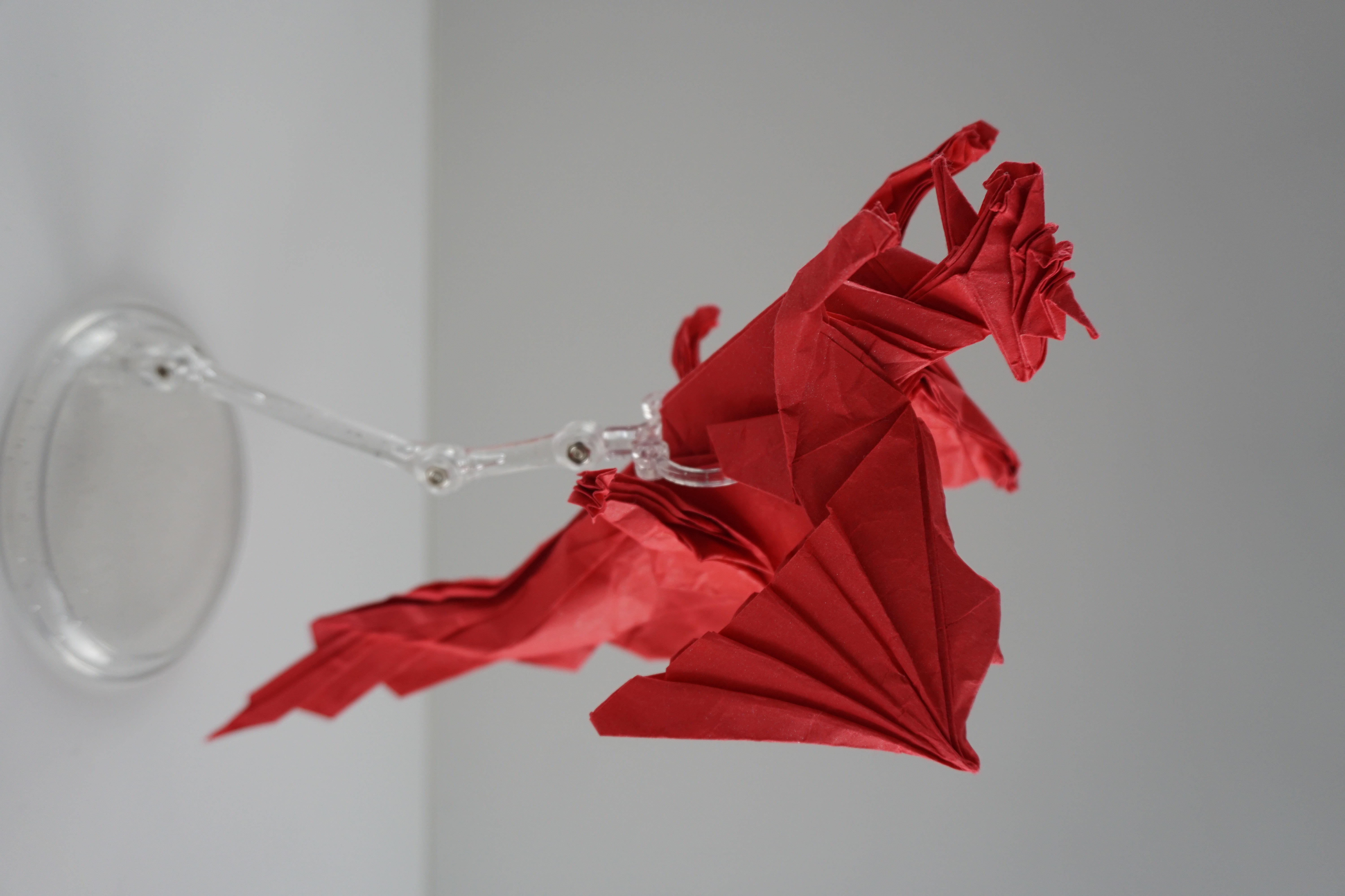 Plantcient Dragon origami