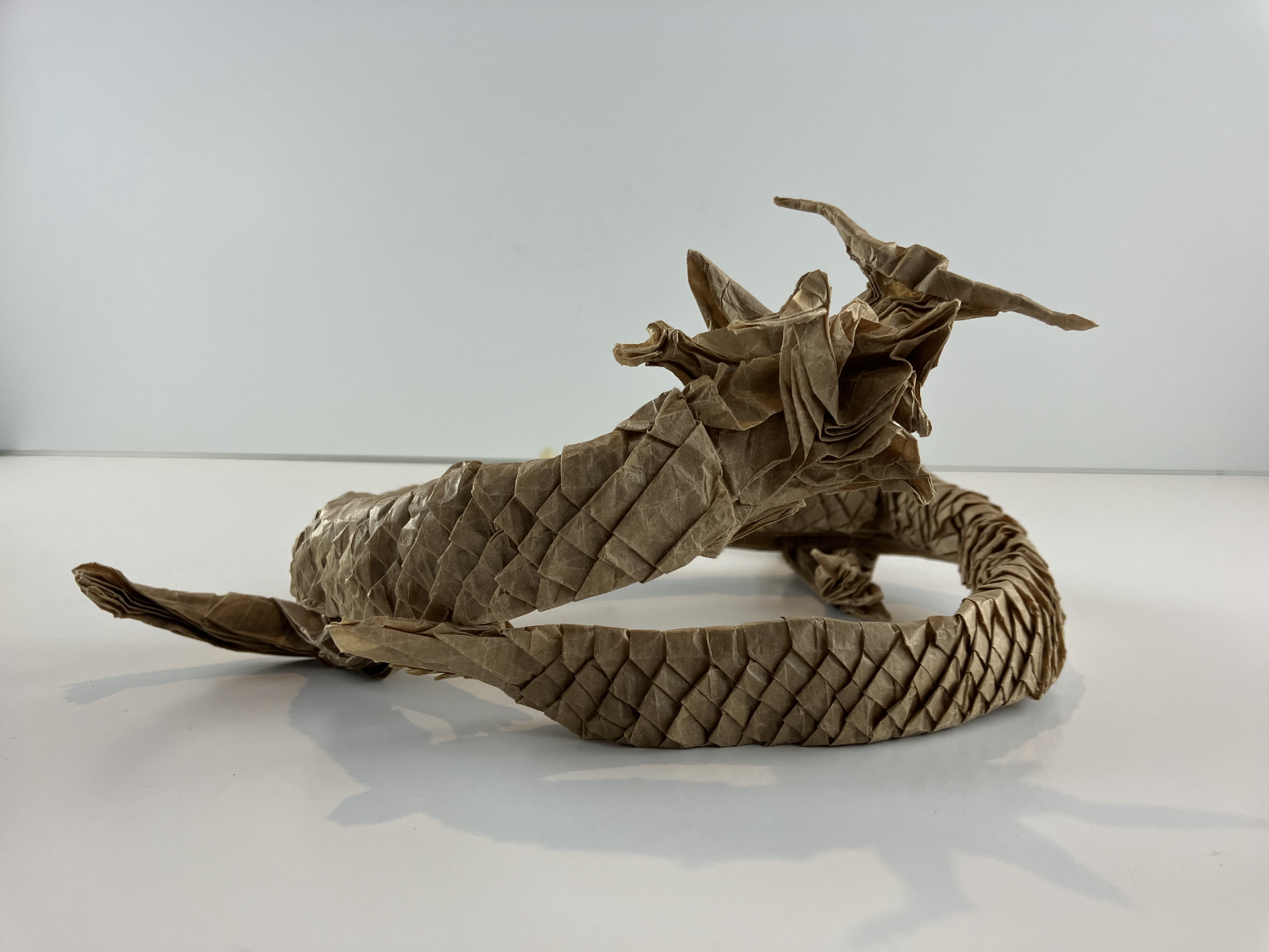 Coiled serpent dragon